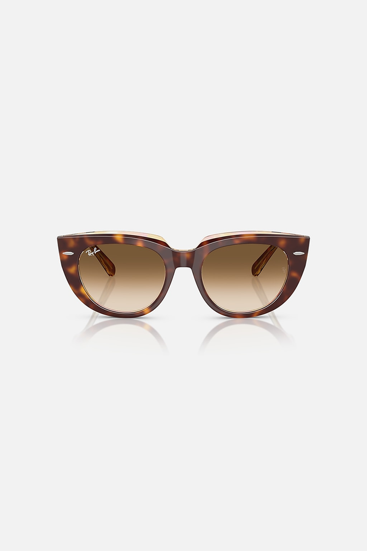 Ray Ban - Doreen in Polished Light Havana On Transparent Multicolor Frames with Clear Gradient Brown Lenses - 0RB2286-141451