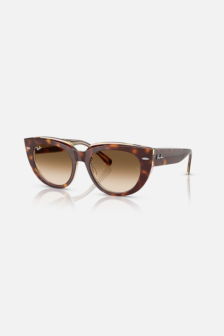 Ray Ban - Doreen in Polished Light Havana On Transparent Multicolor Frames with Clear Gradient Brown Lenses - 0RB2286-141451