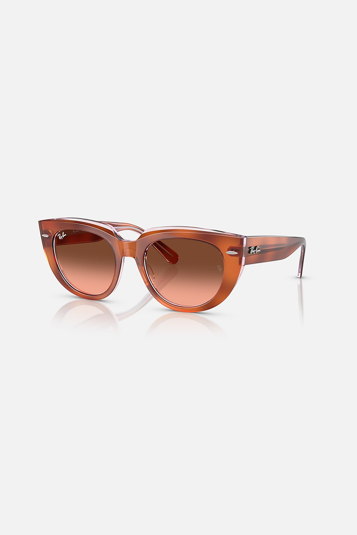 Ray Ban - Doreen in Polished Red Havana On Transparent Multicolor Frames with Pink Gradient Brown Lenses - 0RB2286-1415A5